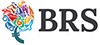 BRS independent financial advice B.V. logo