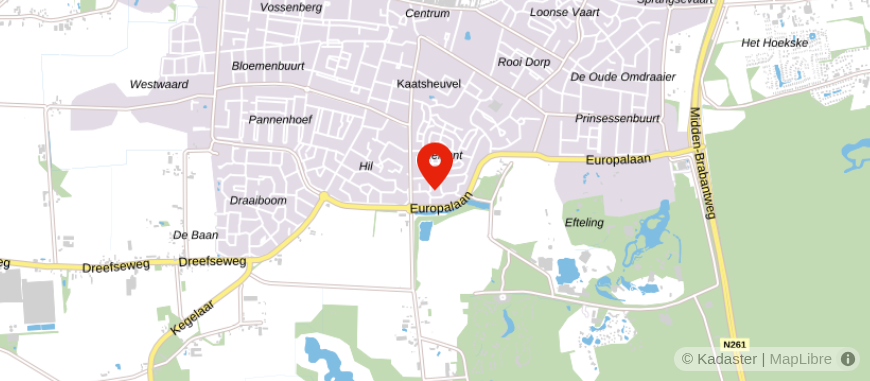 Locatie van Van Leijsen Financieel Advies