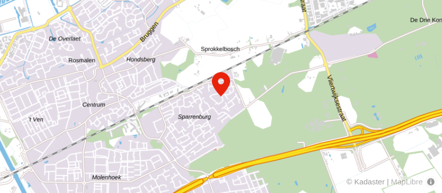 Locatie van LiNie Consult B.V.