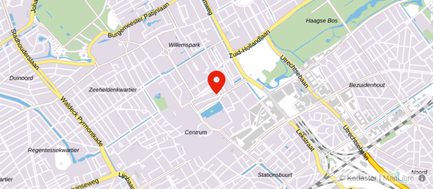 Locatie van The Hague Real Estate Services