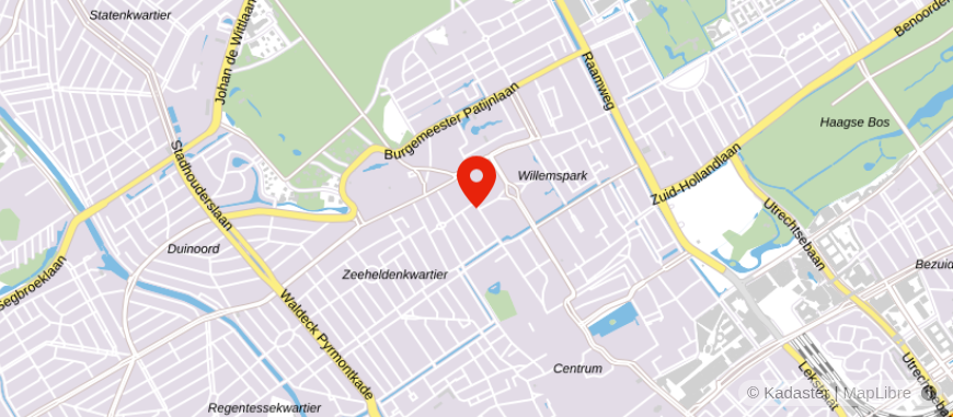 Locatie van Viisi Den Haag