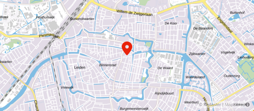 Locatie van Hypodomus makelaar Leiden